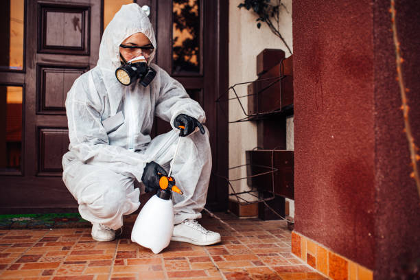 Reliable Cockroach Control contractor in Seneca, KS by Nex Pest Control