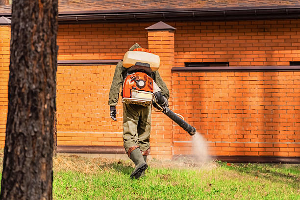 Top rated local Cockroach Control specialists in Seneca, KS